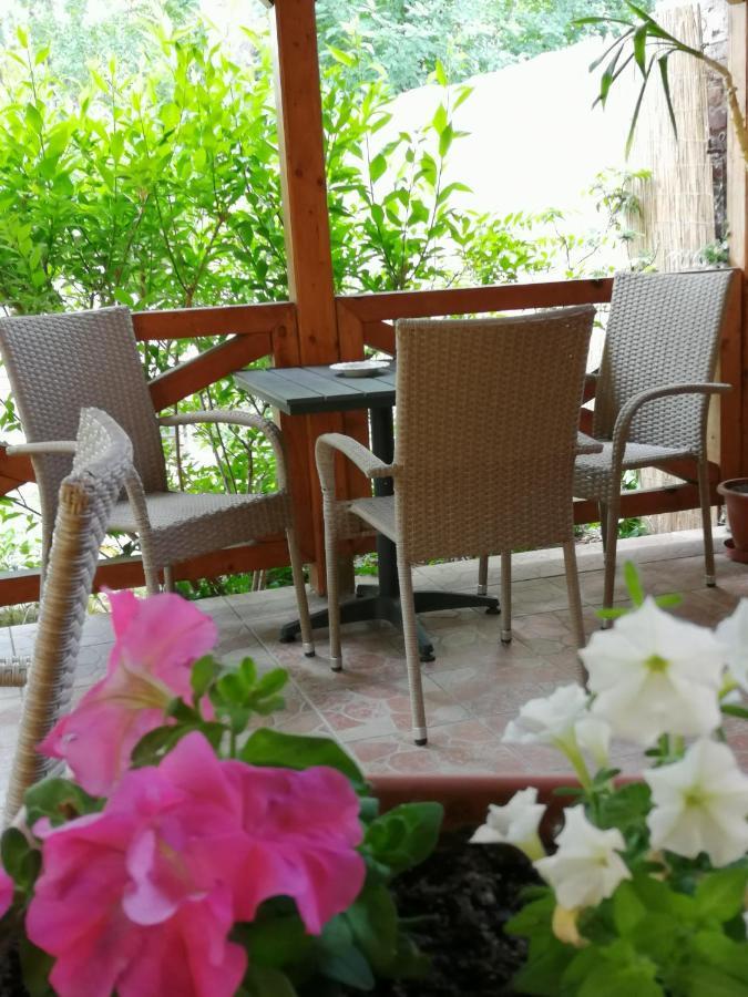 Karpatia Panzio Bed & Breakfast เอสแตร์กอม ภายนอก รูปภาพ