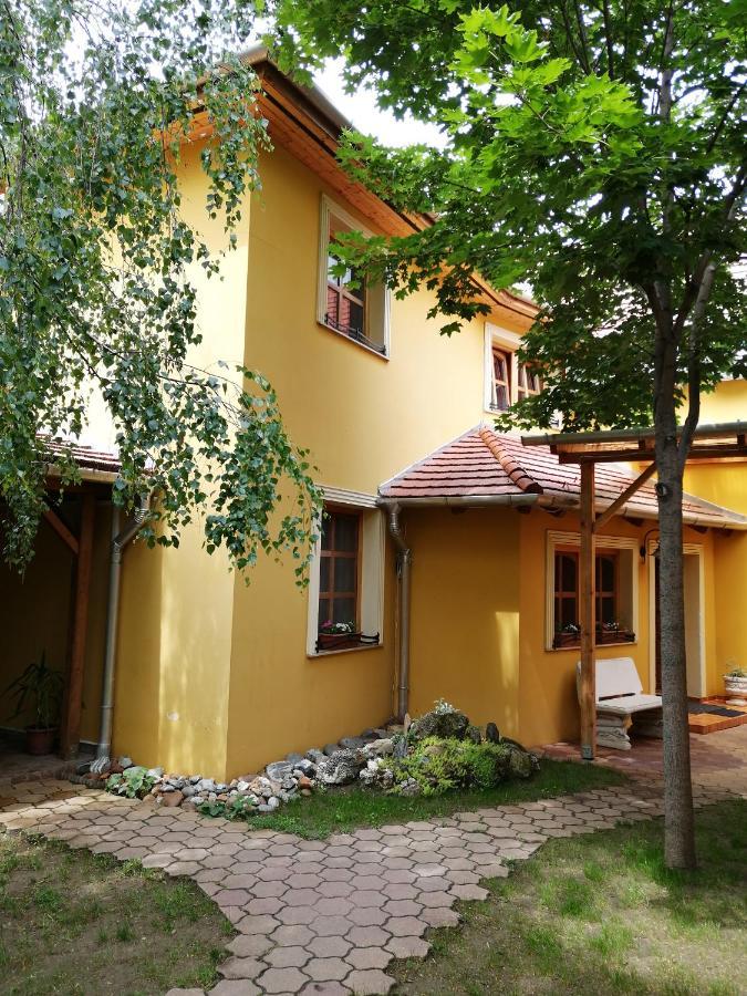 Karpatia Panzio Bed & Breakfast เอสแตร์กอม ภายนอก รูปภาพ